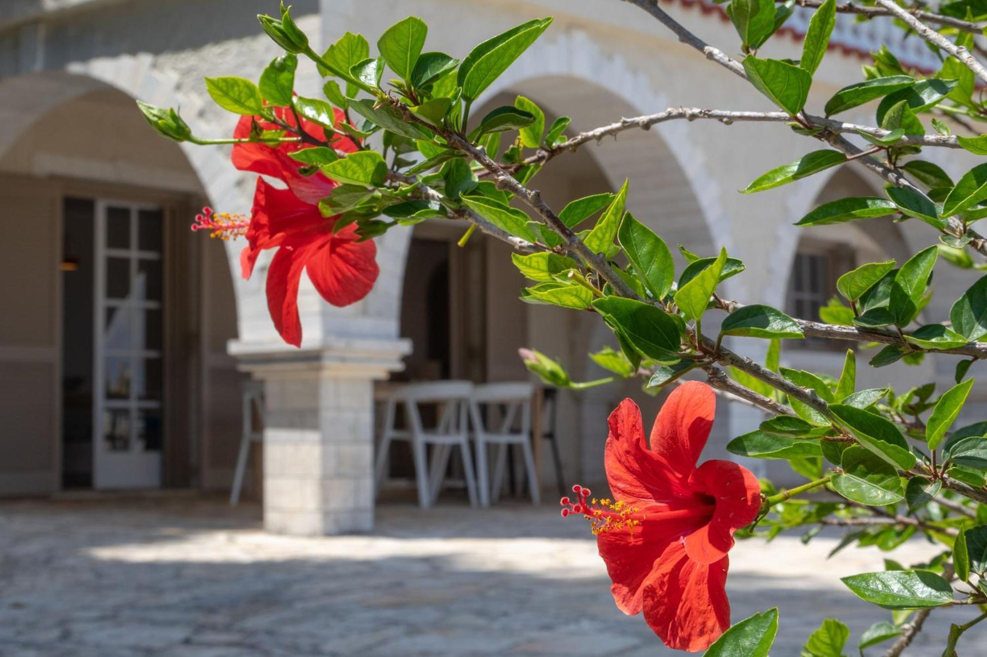 Ionian Garden Villas - Villa Olea Benitses  Esterno foto