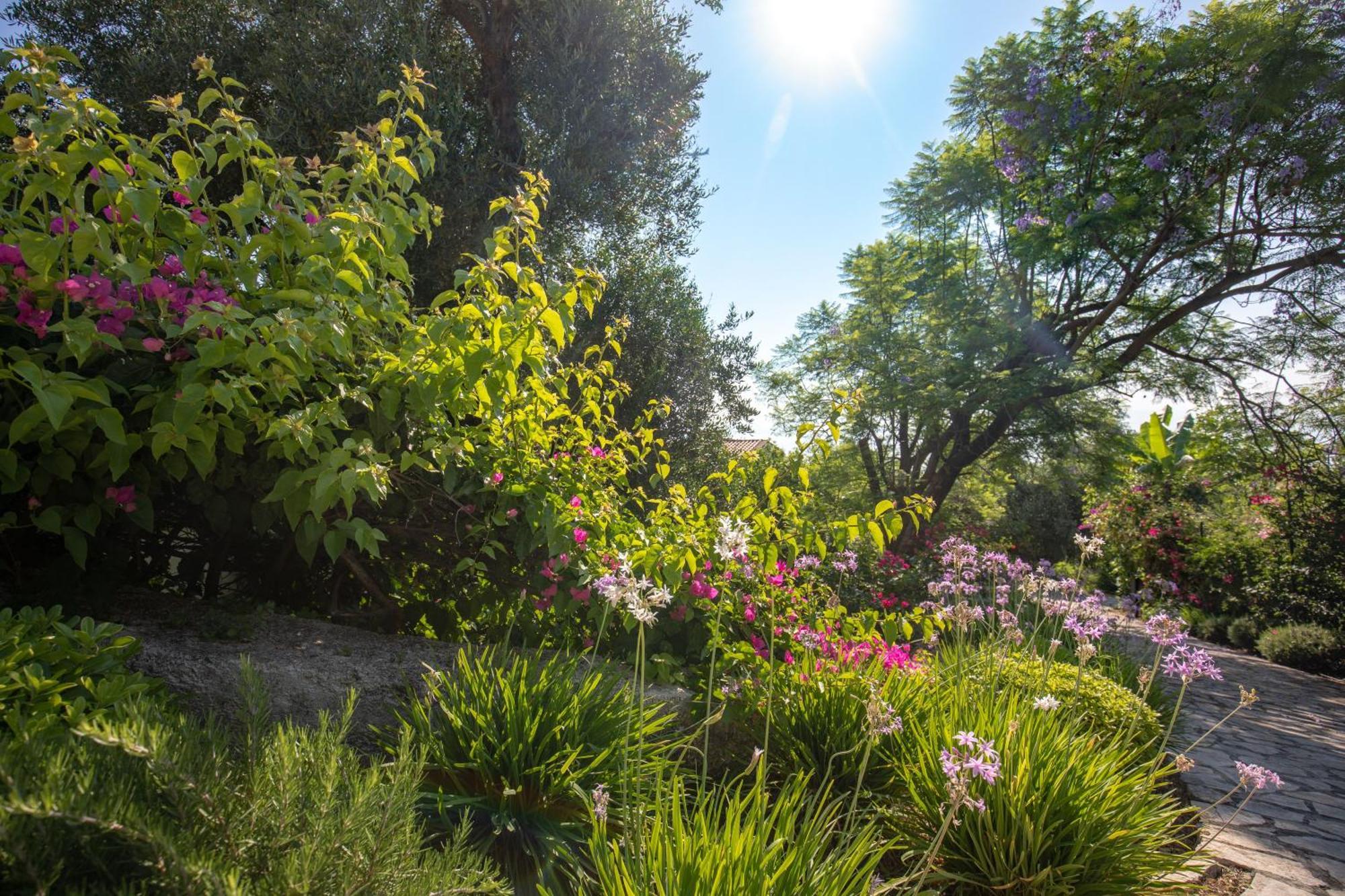 Ionian Garden Villas - Villa Olea Benitses  Esterno foto