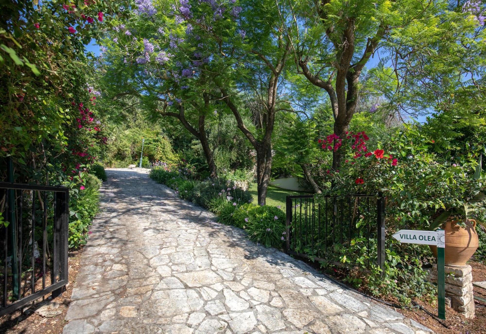 Ionian Garden Villas - Villa Olea Benitses  Esterno foto
