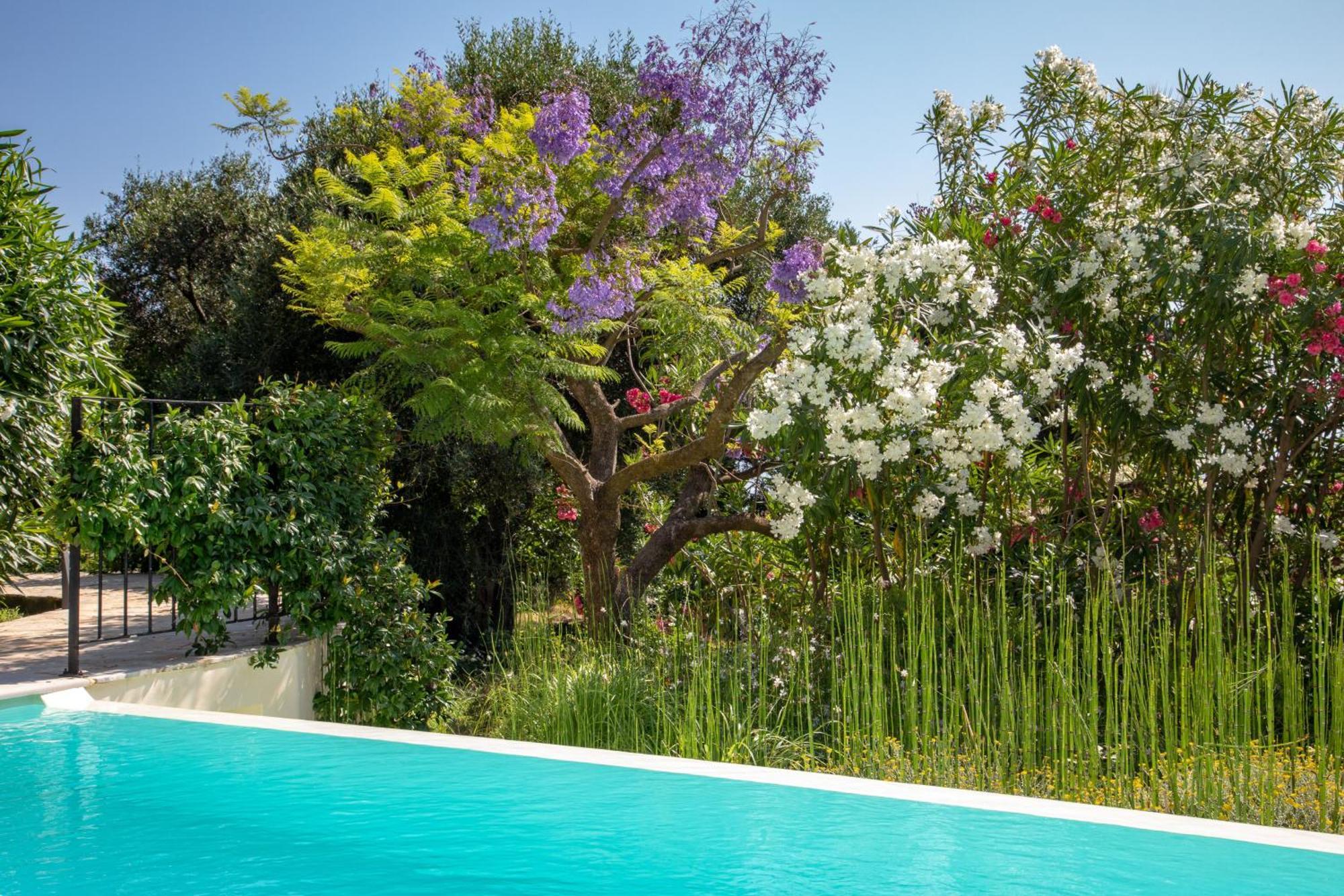 Ionian Garden Villas - Villa Olea Benitses  Esterno foto