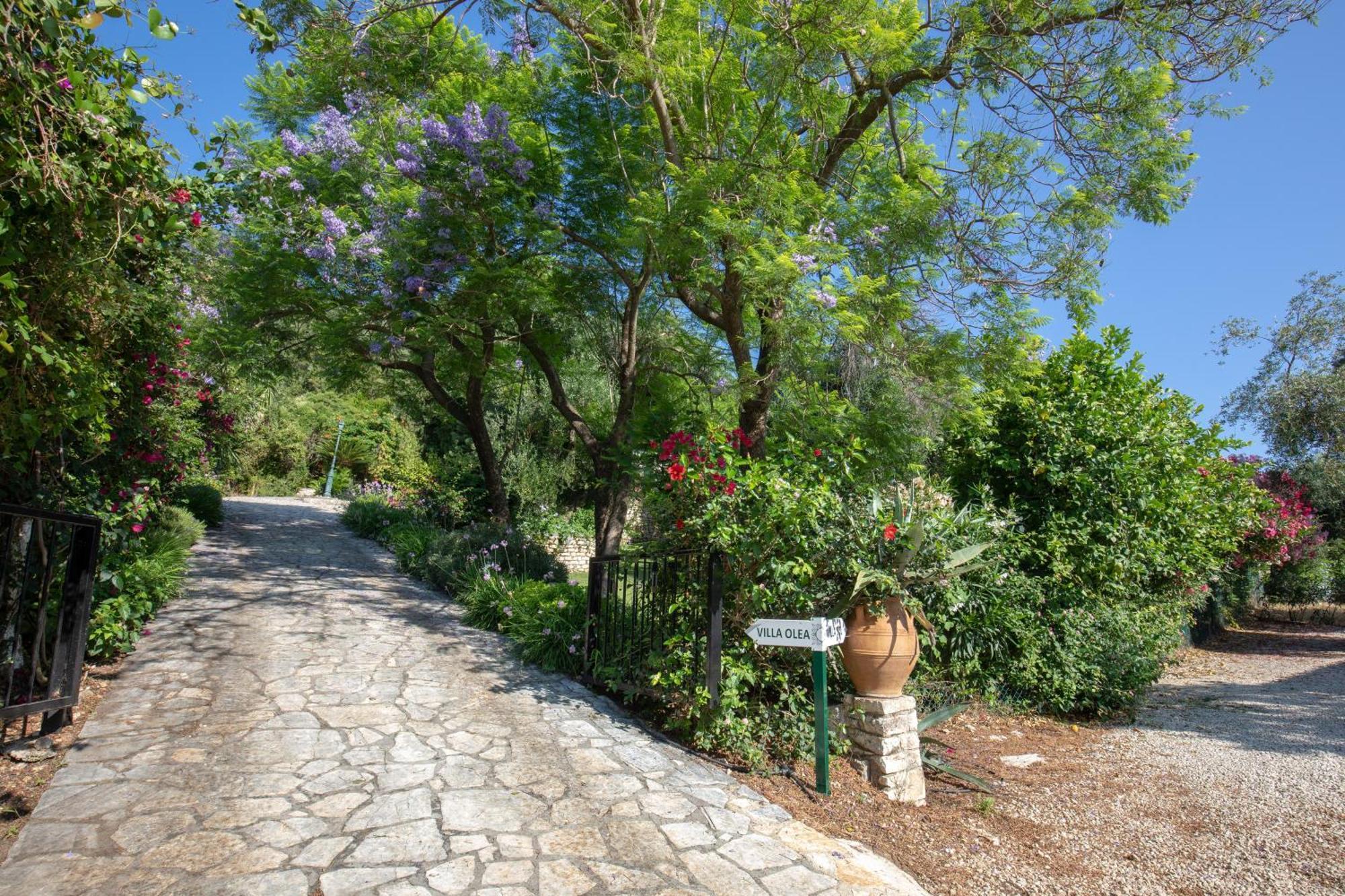 Ionian Garden Villas - Villa Olea Benitses  Esterno foto